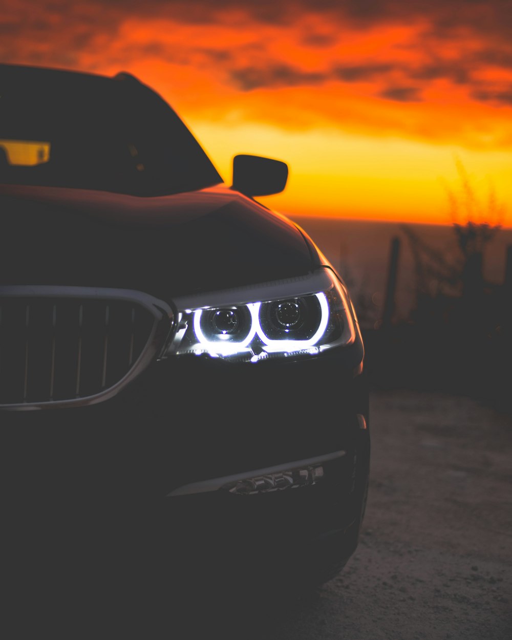 黄金跑车(阿拉伯黄金跑车) 黄金跑车(阿拉伯黄金跑车)