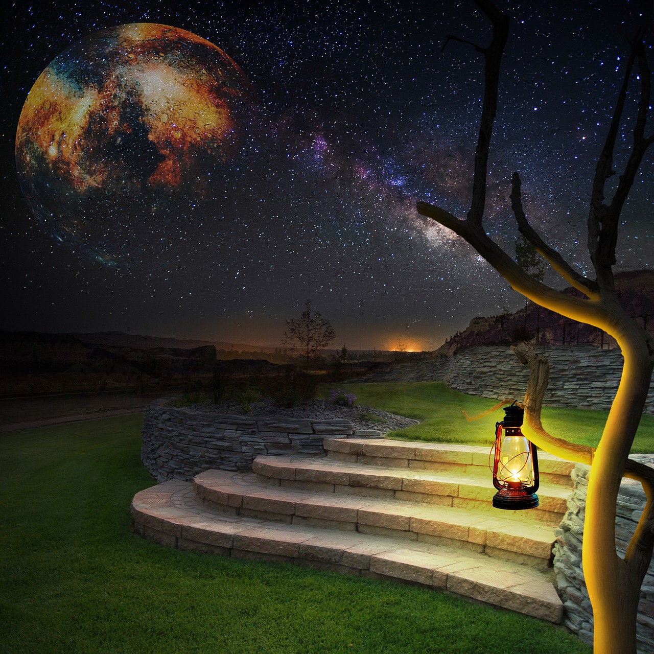 星光家族.星光家族动画片 星光家族.星光家族动画片